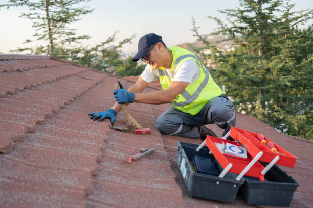 Best Roof Insulation Installation  in Aurora, MO